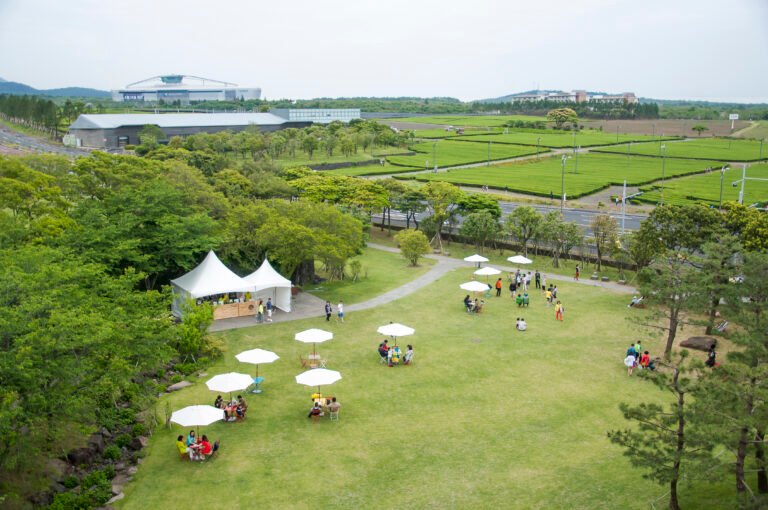 Tent rentals and party rentals set up on an open space, on grass.